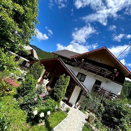 Pensiunea Bradet Brosteni Exterior photo