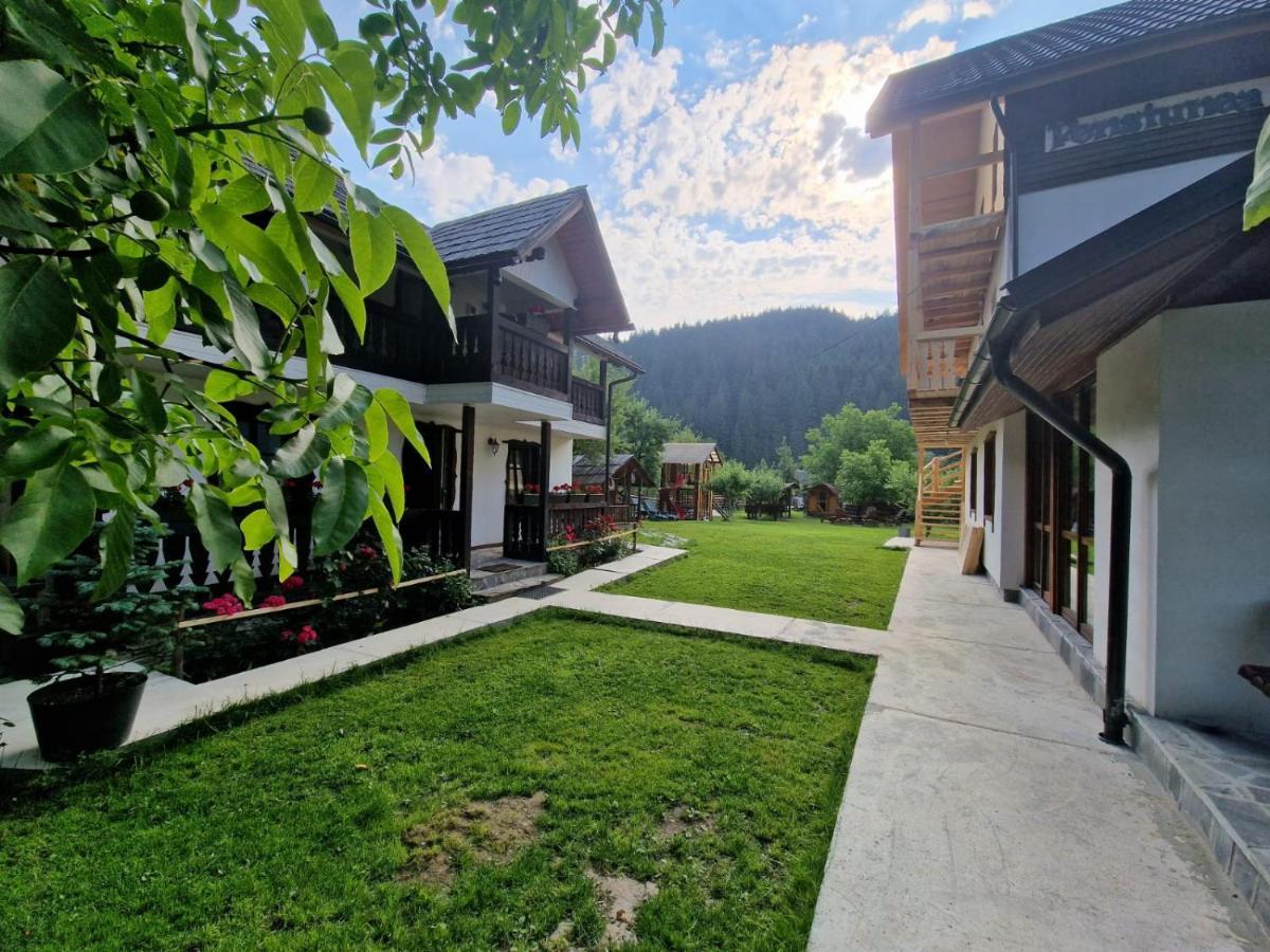 Pensiunea Bradet Brosteni Exterior photo